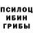 Псилоцибиновые грибы Magic Shrooms theory deception