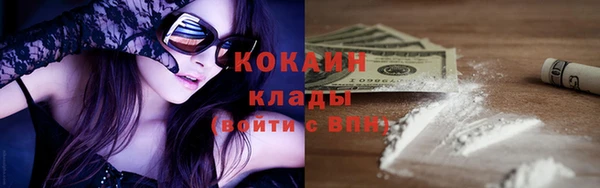 соль ск Алексин