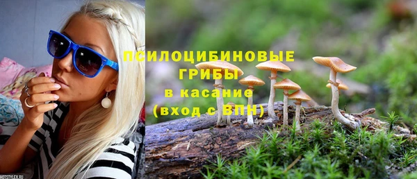соль ск Алексин