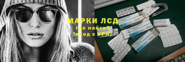СК Зерноград