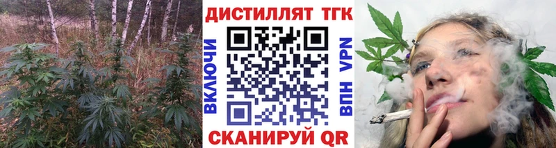 ТГК концентрат Исилькуль