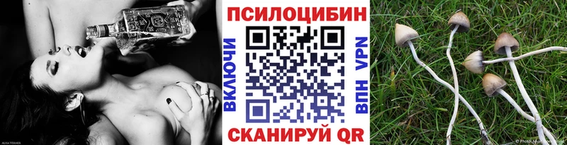 Галлюциногенные грибы мицелий купить закладку ОМГ ОМГ ссылки Исилькуль